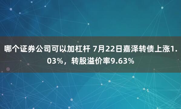 哪个证券公司可以加杠杆 7月22日嘉泽转债上涨1.03%，转股溢价率9.63%