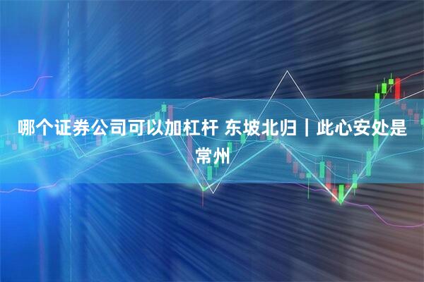 哪个证券公司可以加杠杆 东坡北归｜此心安处是常州